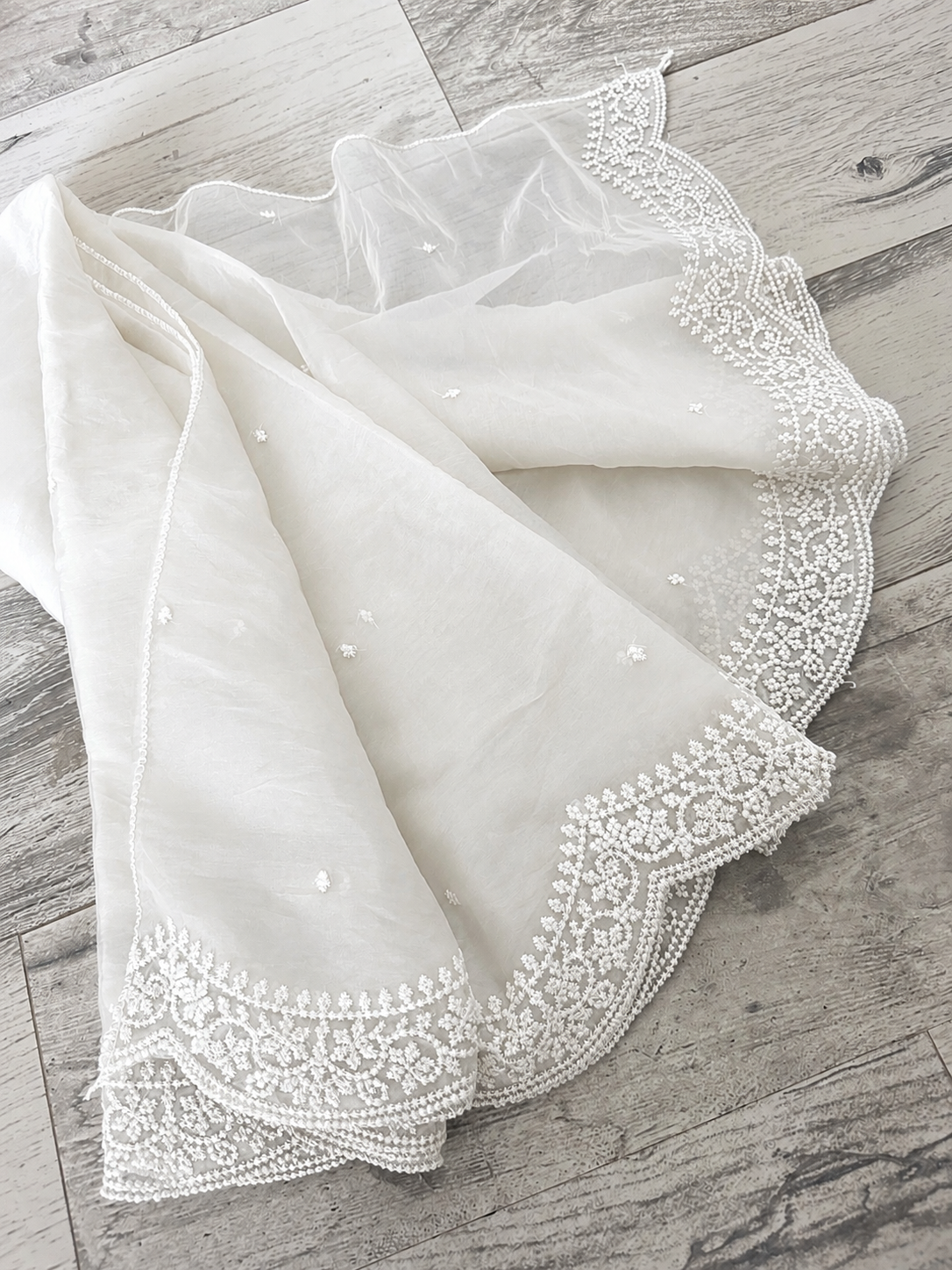 Enchanted arc scalloped Dupatta
