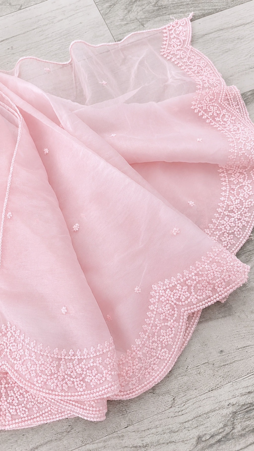 Enchanted arc scalloped Dupatta
