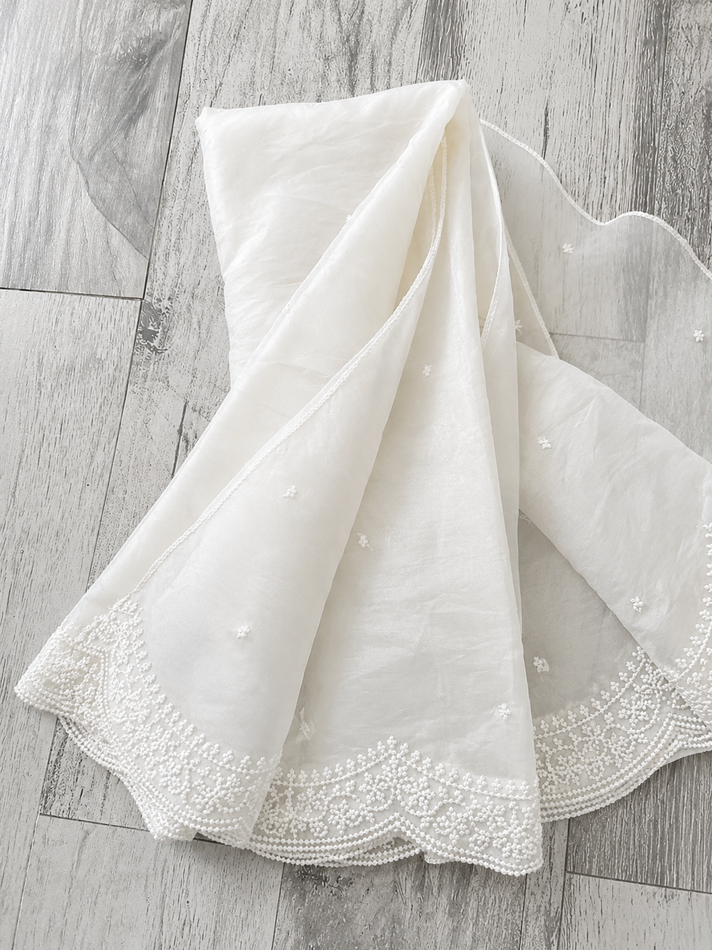 Enchanted arc scalloped Dupatta