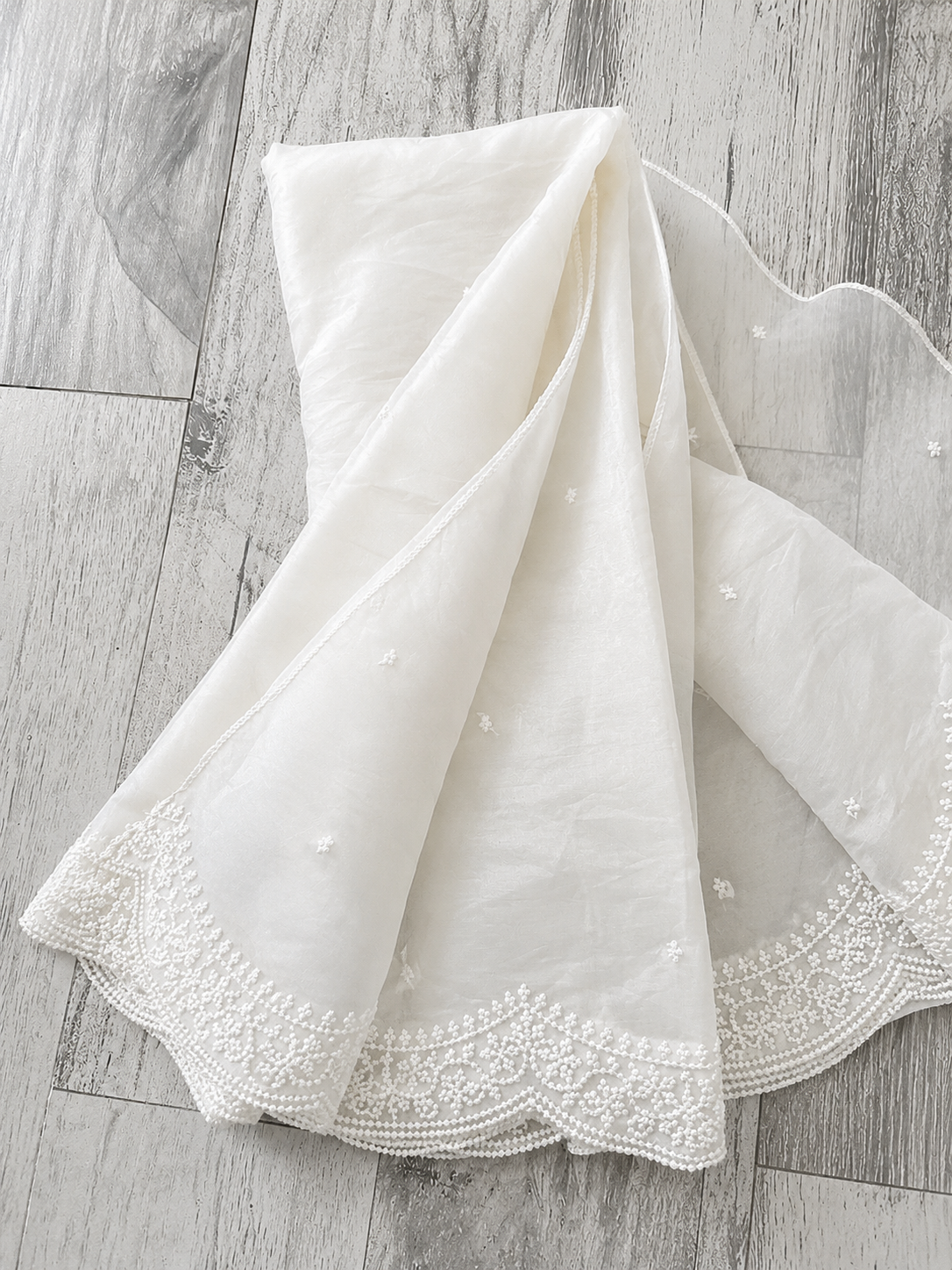 Enchanted arc scalloped Dupatta